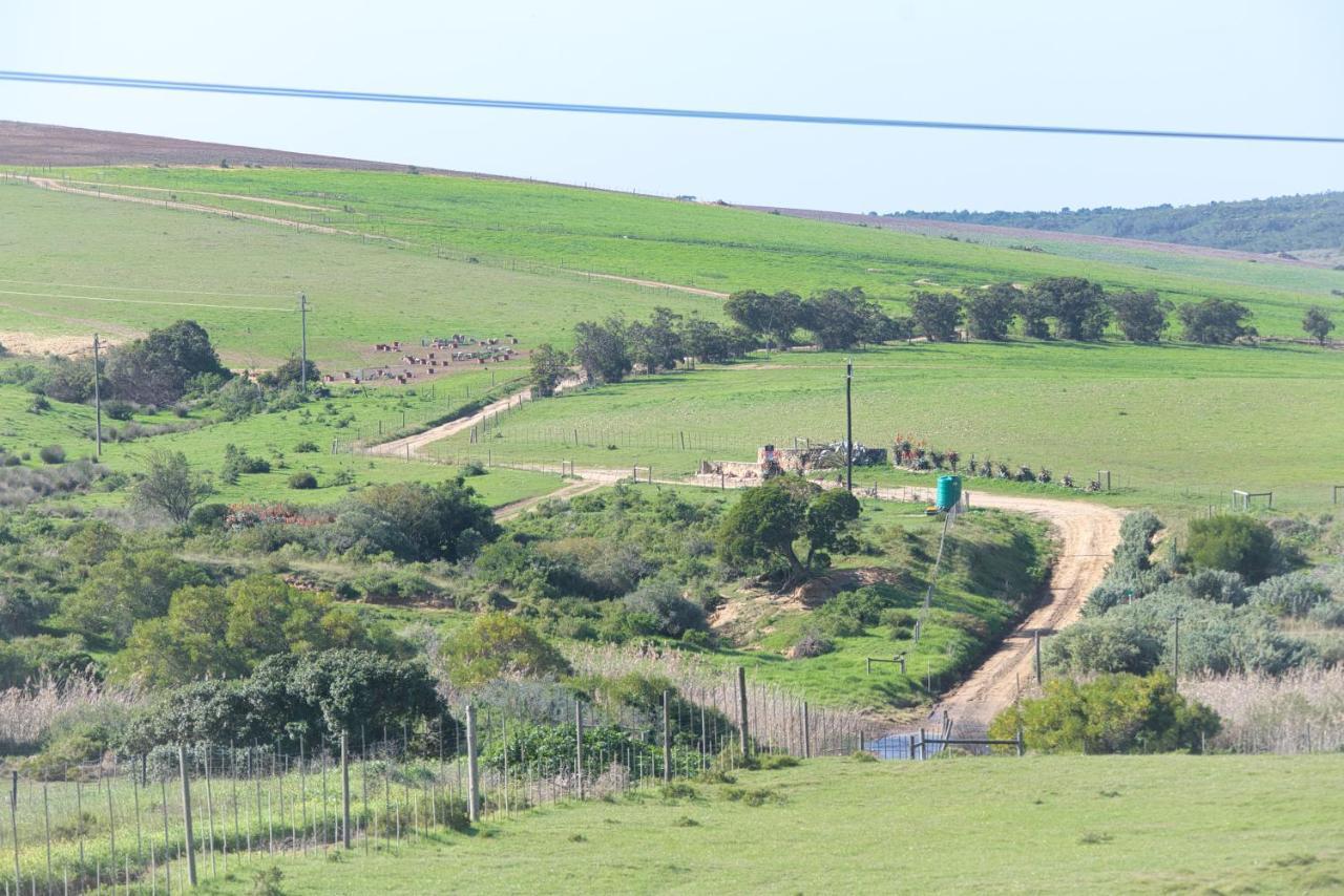 Old Sam'S Cottage Bredasdorp Buitenkant foto